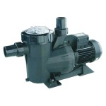 Astral Victoria Plus Silent Pool Pump